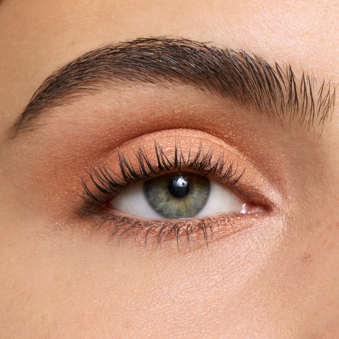 Fold Out® Eyeshadow Refill