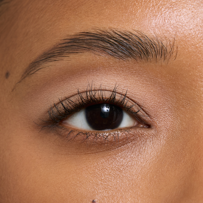 Fold Out® Eyeshadow Refill