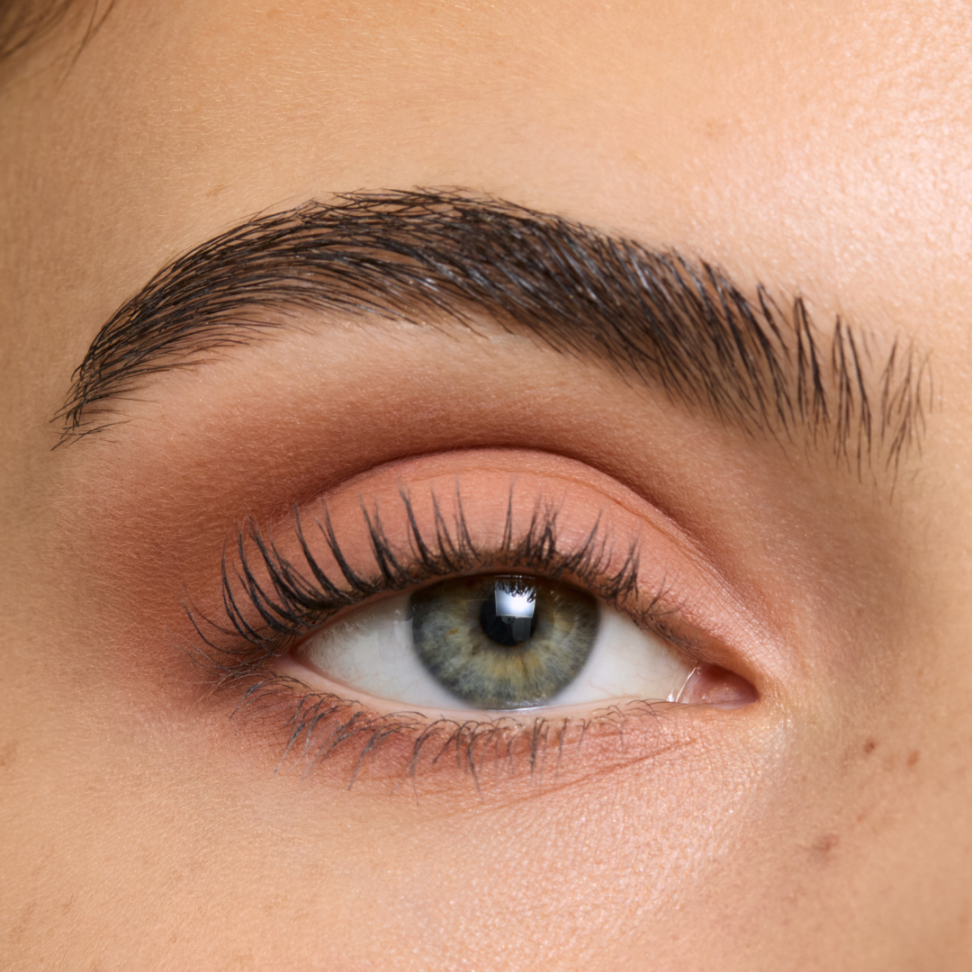 Fold Out® Eyeshadow Refill