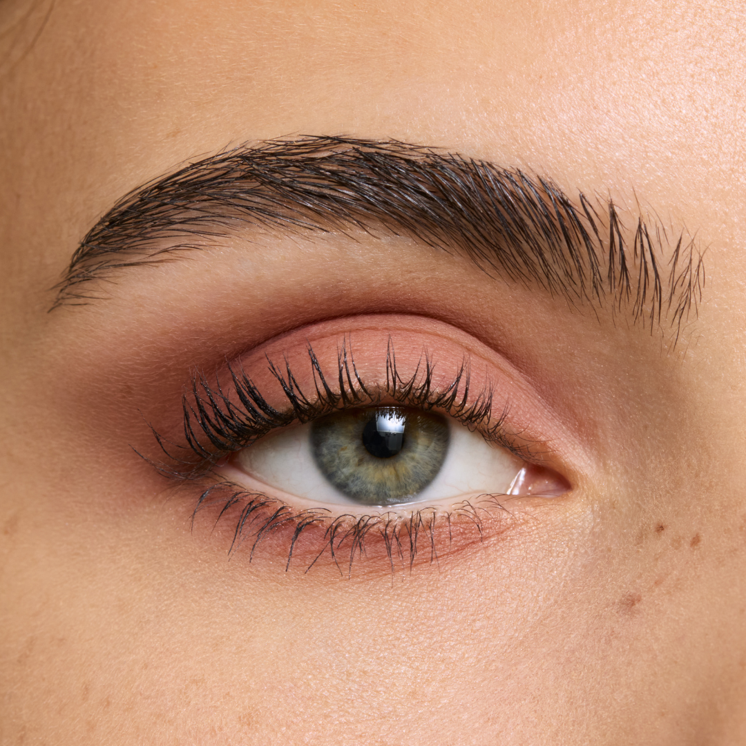 Fold Out® Eyeshadow Refill